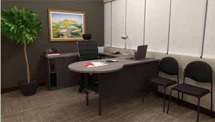 3D Executive Office 2